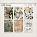 Overgrown Cards by Studio Basic Overgrown Cards by Studio Basic