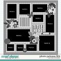 Cindy's Layered Templates - Photo Palooza 564 by Cindy Schneider