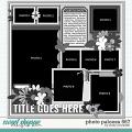 Cindy's Layered Templates - Photo Palooza 567 by Cindy Schneider