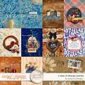 Captured Glimmers: A Time of Change {cards} by Sweet Doll designs