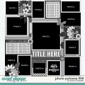 Cindy's Layered Templates - Photo Palooza 569 by Cindy Schneider