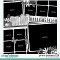 Cindy's Layered Templates - Photo Palooza 576 by Cindy Schneider Cindy's Layered Templates - Photo Palooza 576 by Cindy Schneider