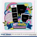 Cindy's Layered Templates - All In One Single 32: {Not Quite} Picture Perfect by Cindy Schneider