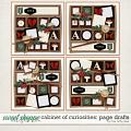 CABINET OF CURIOSITIES | PAGE DRAFTS by The Nifty Pixel CABINET OF CURIOSITIES | PAGE DRAFTS by The Nifty Pixel