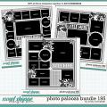 Cindy's Layered Templates - Photo Palooza Bundle 195 by Cindy Schneider