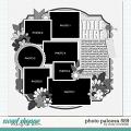Cindy's Layered Templates - Photo Palooza 589 by Cindy Schneider Cindy's Layered Templates - Photo Palooza 589 by Cindy Schneider