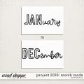 Project 2026: month cards by Amanda Yi