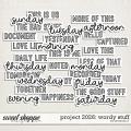 Project 2026: wordy stuff by Amanda Yi