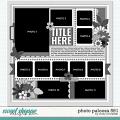 Cindy's Layered Templates - Photo Palooza 591 by Cindy Schneider