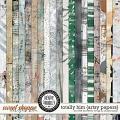 Creative Chronicles: Totally Him Artsy Papers by Little Butterfly Wings & Studio Basic Creative Chronicles: Totally Him Artsy Papers by Little Butterfly Wings & Studio Basic