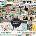 Today's Forecast Bundle by Pink Reptile & Studio Basic Today's Forecast Bundle by Pink Reptile & Studio Basic