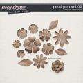CU Petal Pop vol.02 by Allison Pennington