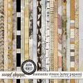 Creative Chronicles: Memento Vivere Artsy Papers by Little Butterfly Wings & Studio Basic Creative Chronicles: Memento Vivere Artsy Papers by Little Butterfly Wings & Studio Basic