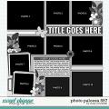 Cindy's Layered Templates - Photo Palooza 597 by Cindy Schneider Cindy's Layered Templates - Photo Palooza 597 by Cindy Schneider