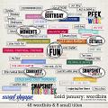 Bold January Wordbits by Connection Keeping Bold January Wordbits by Connection Keeping