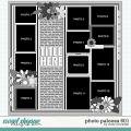 Cindy's Layered Templates - Photo Palooza 601 by Cindy Schneider