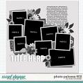 Cindy's Layered Templates - Photo Palooza 602 by Cindy Schneider Cindy's Layered Templates - Photo Palooza 602 by Cindy Schneider