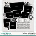 Cindy's Layered Templates - Photo Palooza 603 by Cindy Schneider Cindy's Layered Templates - Photo Palooza 603 by Cindy Schneider