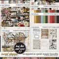 Wrapped In Quiet Magic Bundle by Studio Basic Wrapped In Quiet Magic Bundle by Studio Basic