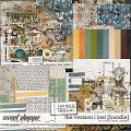 Footnotes & Margins: The Version I Lost [bundle] by Studio Basic