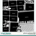 Cindy's Layered Templates - Photo Palooza 606 by Cindy Schneider Cindy's Layered Templates - Photo Palooza 606 by Cindy Schneider
