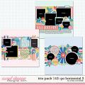 Cindy's Layered Templates - Trio Pack 143: Go Horizontal 3 by Cindy Schneider Cindy's Layered Templates - Trio Pack 143: Go Horizontal 3 by Cindy Schneider