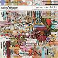 Never Too Old Kit by Pink Reptile Designs and Designed by Soco