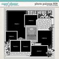Cindy's Layered Templates - Photo Palooza 609 by Cindy Schneider