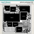 Cindy's Layered Templates - Photo Palooza 610 by Cindy Schneider