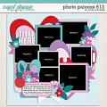 Cindy's Layered Templates - Photo Palooza 613 by Cindy Schneider