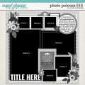 Cindy's Layered Templates - Photo Palooza 615 by Cindy Schneider Cindy's Layered Templates - Photo Palooza 615 by Cindy Schneider