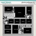 Cindy's Layered Templates - Photo Palooza 617 by Cindy Schneider Cindy's Layered Templates - Photo Palooza 617 by Cindy Schneider