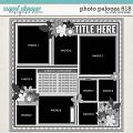 Cindy's Layered Templates - Photo Palooza 618 by Cindy Schneider Cindy's Layered Templates - Photo Palooza 618 by Cindy Schneider