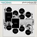 Cindy's Layered Templates - Photo Palooza 620 by Cindy Schneider