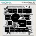 Cindy's Layered Templates - Photo Palooza 621 by Cindy Schneider