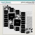 Cindy's Layered Templates - Photo Palooza 622 by Cindy Schneider Cindy's Layered Templates - Photo Palooza 622 by Cindy Schneider