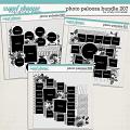 Cindy's Layered Templates - Photo Palooza Bundle 207 by Cindy Schneider Cindy's Layered Templates - Photo Palooza Bundle 207 by Cindy Schneider