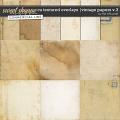 CU TEXTURED OVERLAYS | VINTAGE PAPERS V.3 by The Nifty Pixel