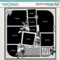 Cindy's Layered Templates - Photo Palooza 623 by Cindy Schneider