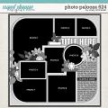 Cindy's Layered Templates - Photo Palooza 624 by Cindy Schneider Cindy's Layered Templates - Photo Palooza 624 by Cindy Schneider