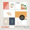 Awakening: Pocket Cards | Designed by Soco Awakening: Pocket Cards | Designed by Soco