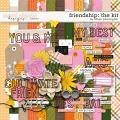 Friendship: The Kit by Allison Pennington Friendship: The Kit by Allison Pennington