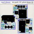 Cindy's Layered Templates - Trio Pack 147: Photo Focus 141 by Cindy Schneider