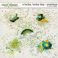 A Lucky, Lucky Day - Overlays by Red Ivy Design