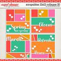 Scrapables: 12x12 Collages 20 Layered Templates by Amber