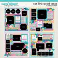 Cindy's Layered Templates - Set 304: Good Times by Cindy Schneider