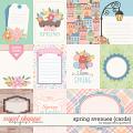 Spring Avenues {cards} by Blagovesta Gosheva Spring Avenues {cards} by Blagovesta Gosheva