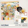 A New Day: Collection | Designed by Soco) A New Day: Collection | Designed by Soco)