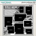 Cindy's Layered Templates - Photo Palozoa 626 by Cindy Schneider