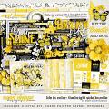 Life in Color: The Bright Side Bundle by Kristin Cronin-Barrow 